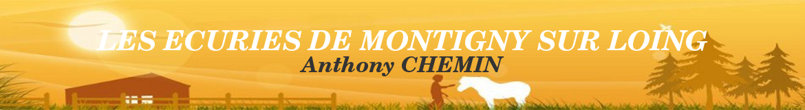 LES ECURIES DE MONTIGNY SUR LOING
